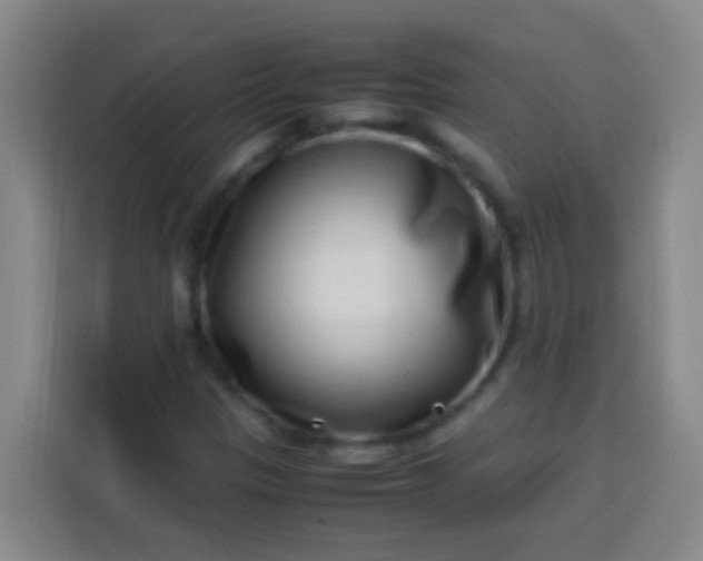 X0000113541305200910021341