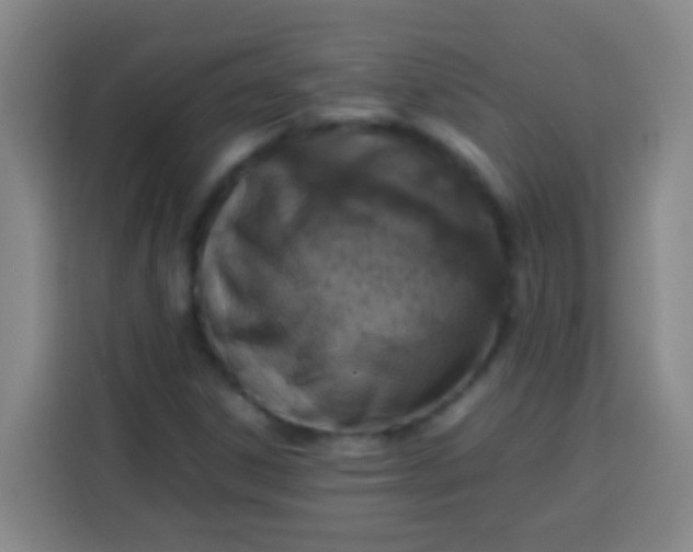 X0000113541306200910021341