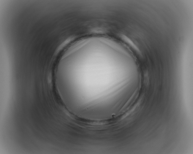 X0000113541307200910021341