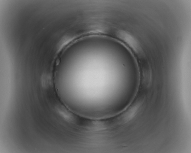 X0000113541308200910021341