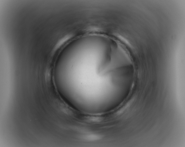 X0000113541309200910021341