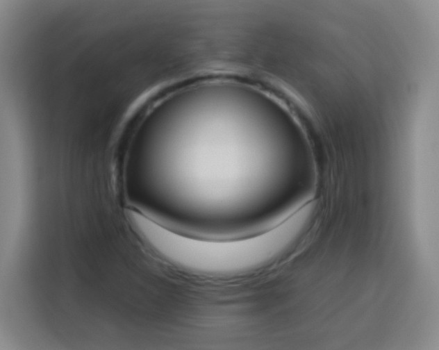 X0000113541310200910021341