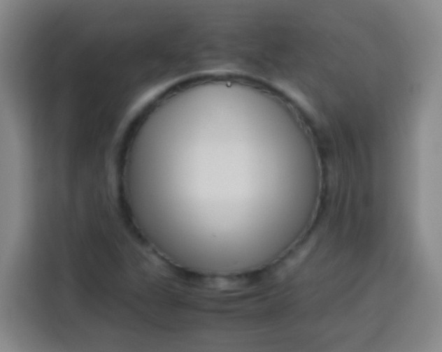 X0000113541311200910021341