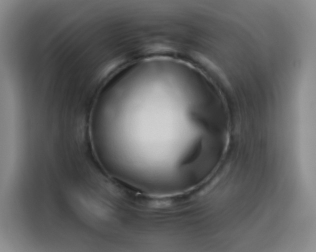 X0000113541313200910021341