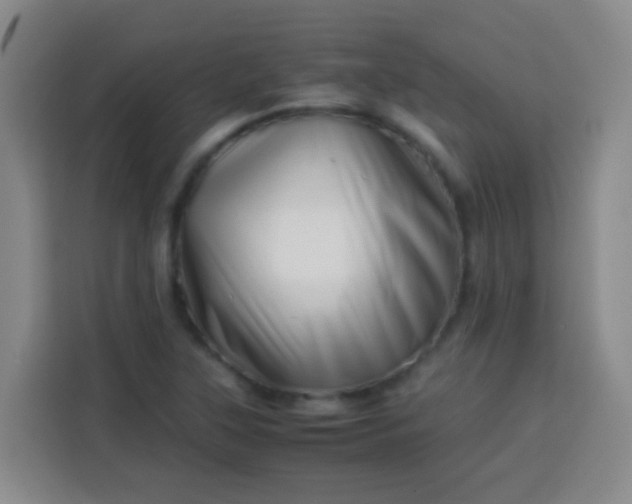 X0000113541315200910021341