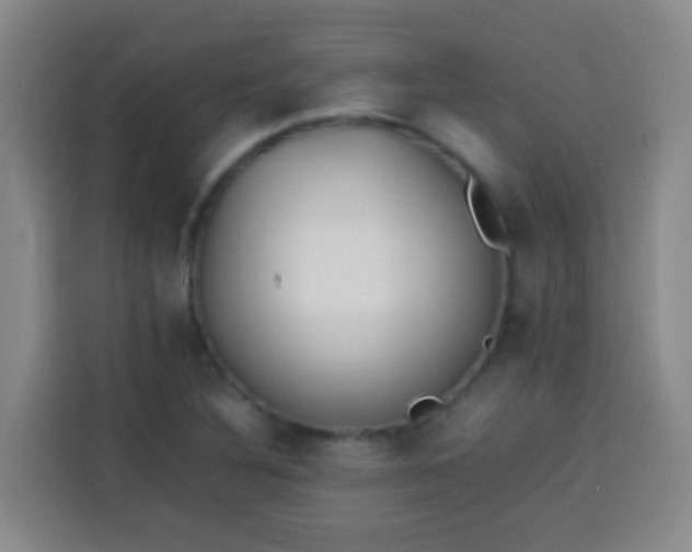 X0000113541316200910021341