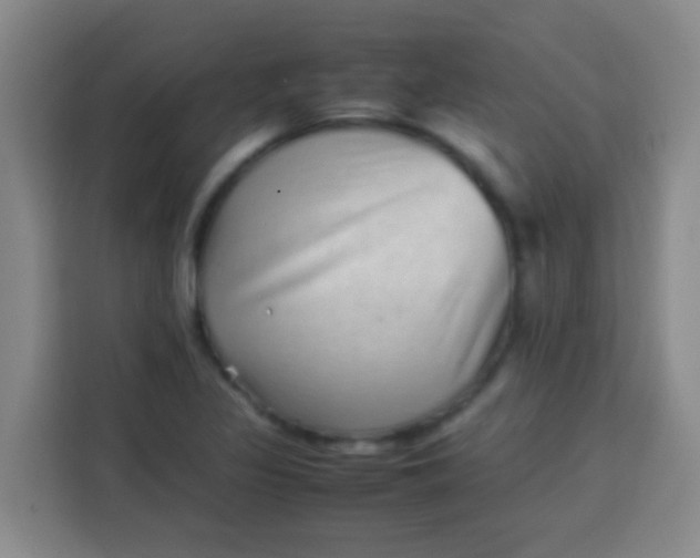 X0000113541317200910021341