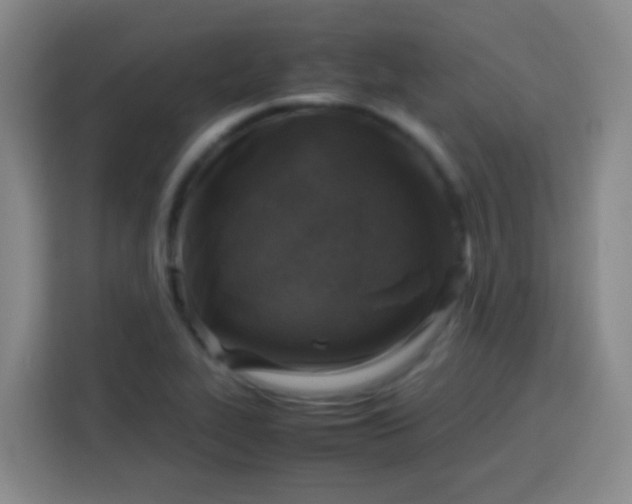 X0000113541319200910021341