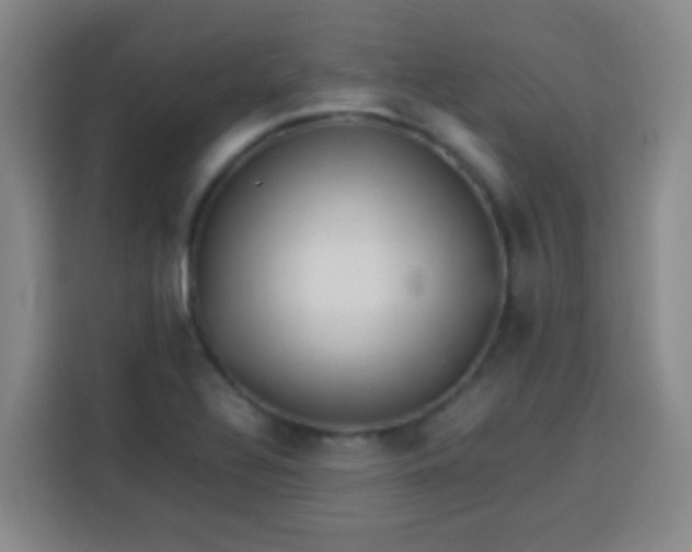 X0000113541320200910021342