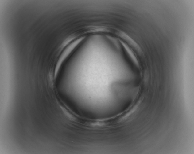 X0000113541321200910021342