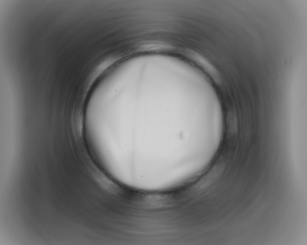 X0000113541322200910021342