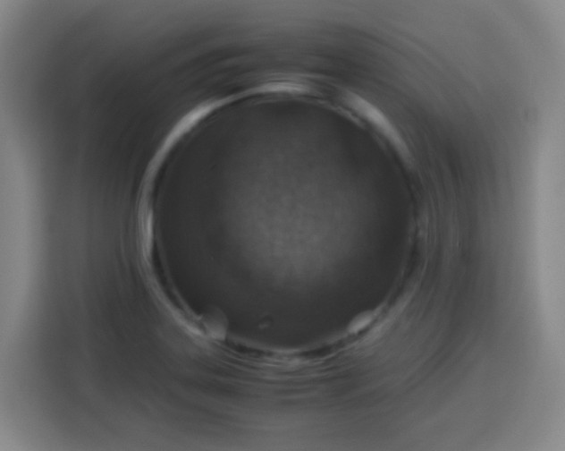 X0000113541323200910021342