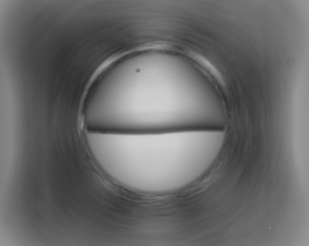 X0000113541324200910021342