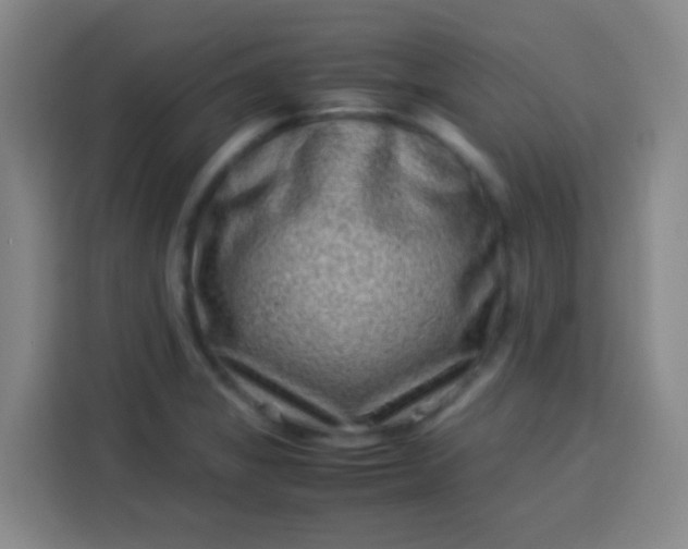 X0000113541325200910021342