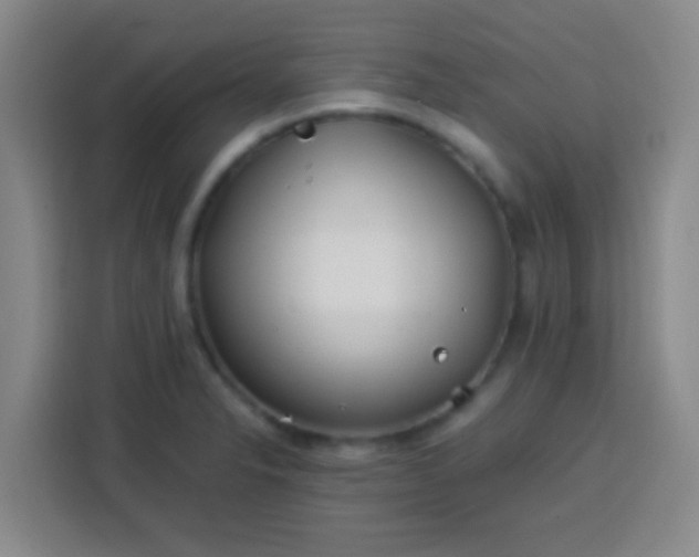 X0000113541326200910021342