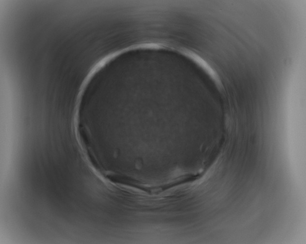 X0000113541327200910021342