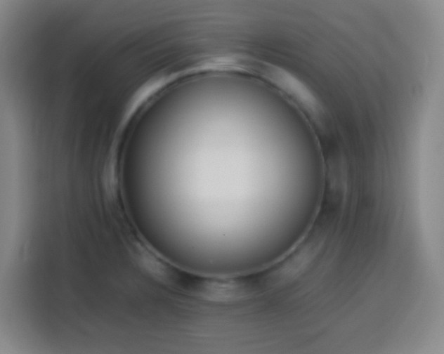 X0000113541328200910021342