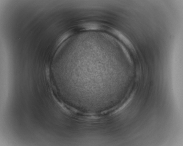 X0000113541329200910021342