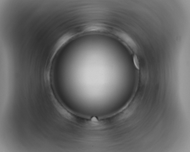 X0000113541330200910021342