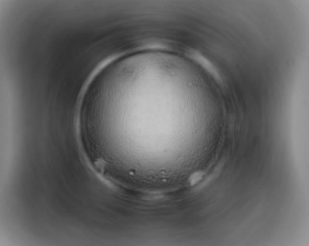 X0000113541331200910021342