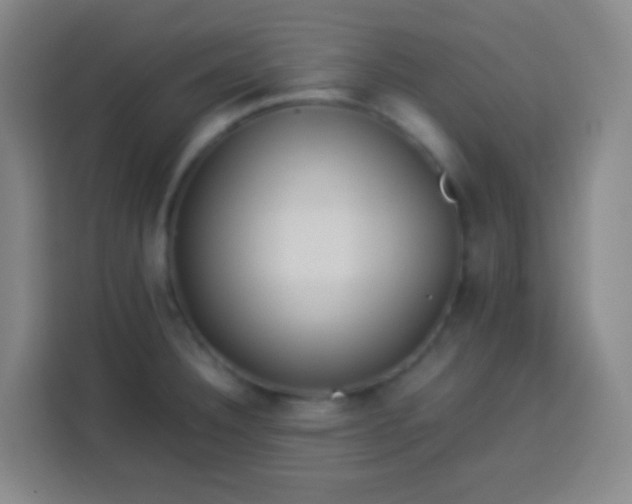 X0000113541332200910021342