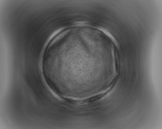 X0000113541333200910021342