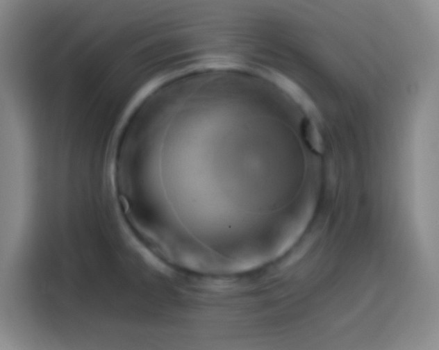 X0000113541334200910021342