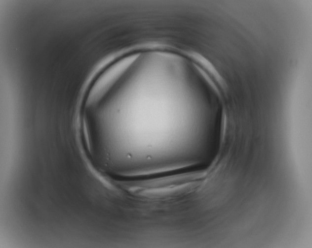 X0000113541335200910021342