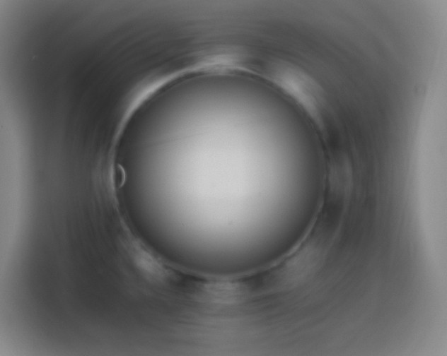 X0000113541336200910021342