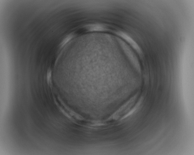 X0000113541337200910021342