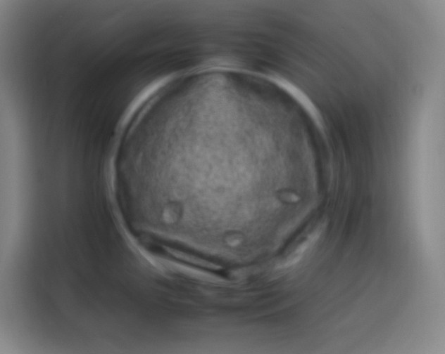 X0000113541341200910021342