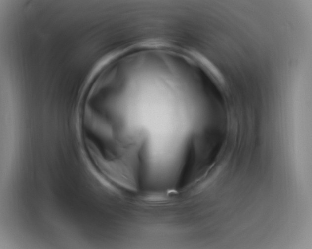 X0000113541343200910021342