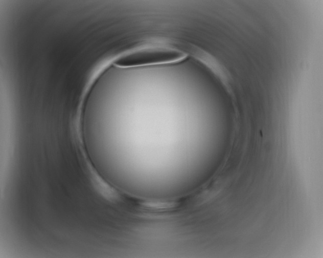 X0000113541344200910021342