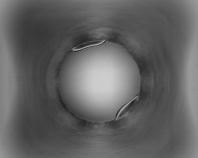 X0000113541345200910021341