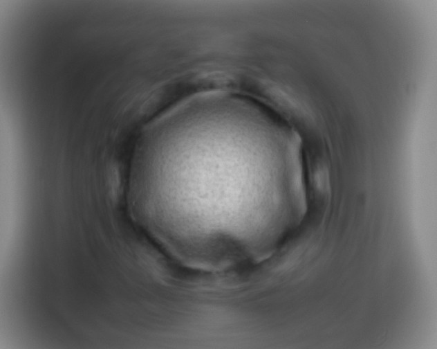 X0000113541347200910021341