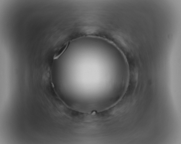 X0000113541349200910021341