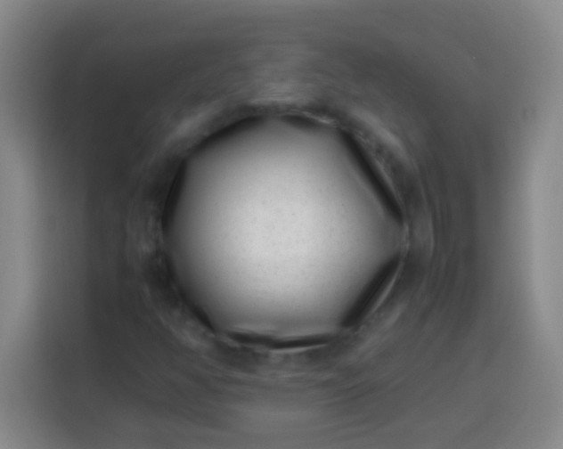 X0000113541350200910021341