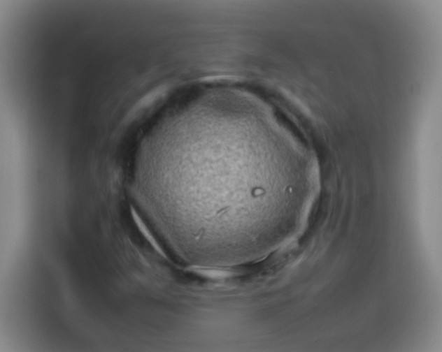 X0000113541351200910021341