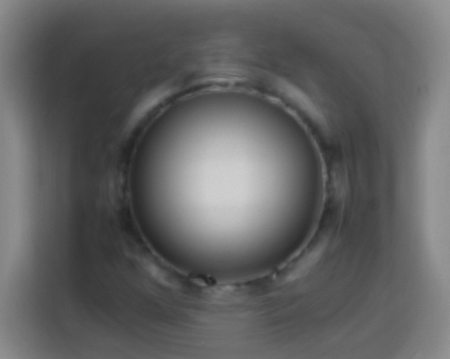 X0000113541352200910021341