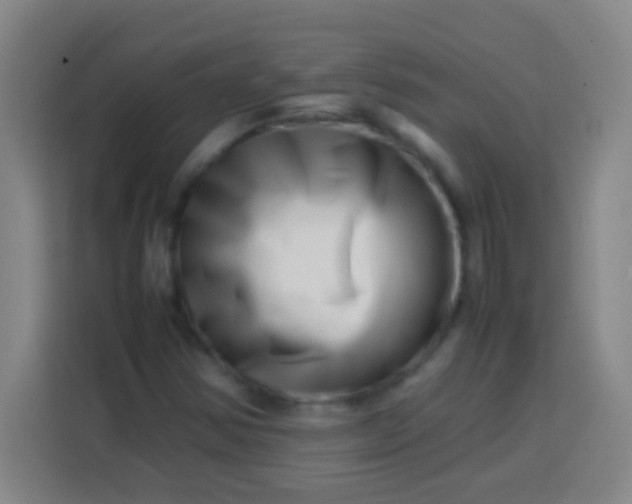 X0000113541354200910021341