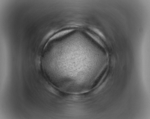 X0000113541355200910021341