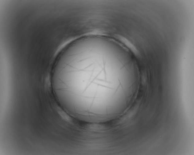 X0000113541356200910021341