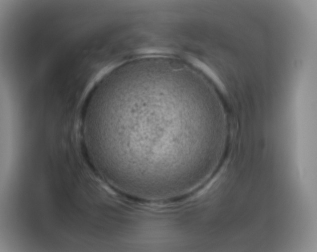 X0000113541357200910021341