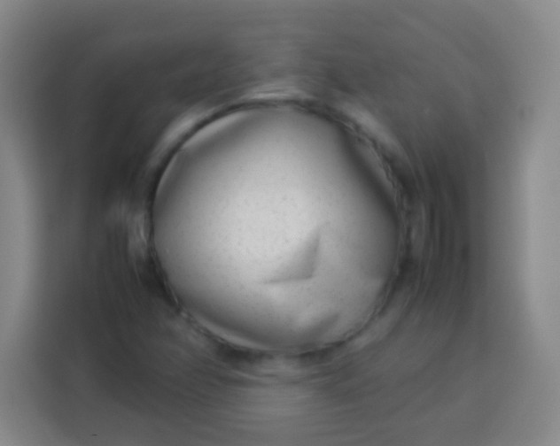 X0000113541358200910021341