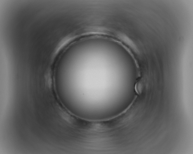 X0000113541360200910021341