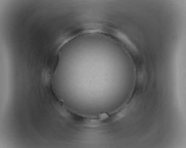 X0000113541361200910021341