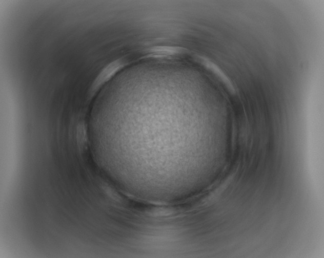 X0000113541362200910021341