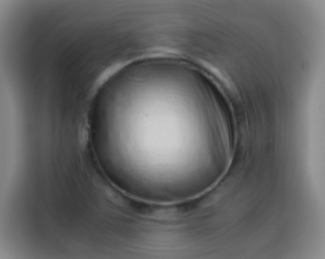 X0000113541363200910021341