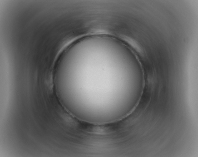 X0000113541364200910021341