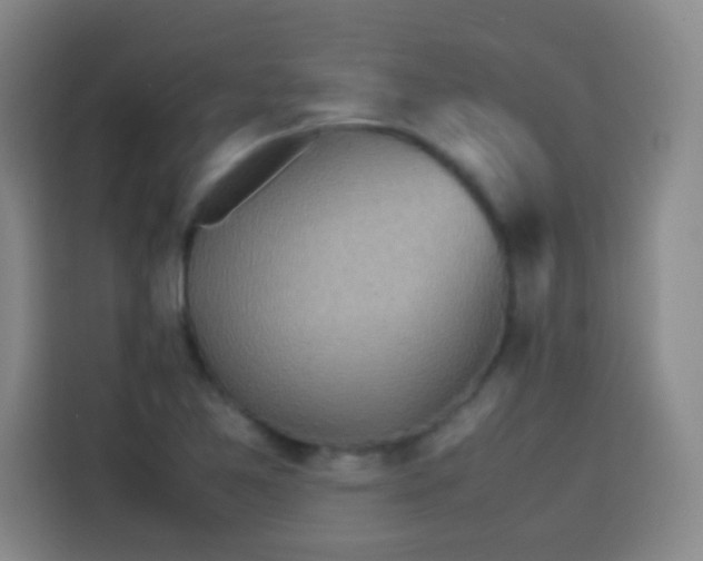 X0000113541365200910021341